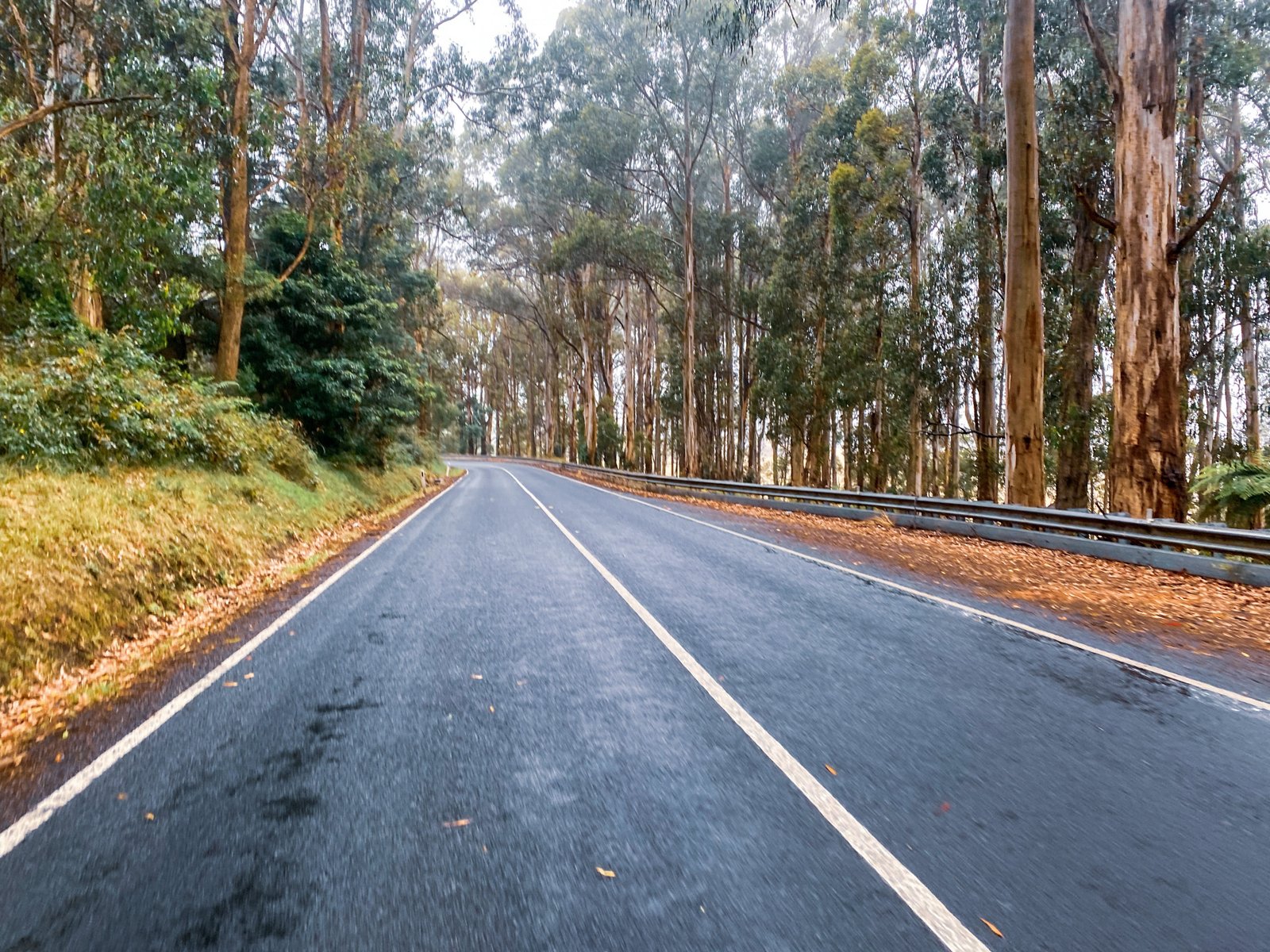 Coldstream / Gembrook / Toolangi Loop BikeRoutes