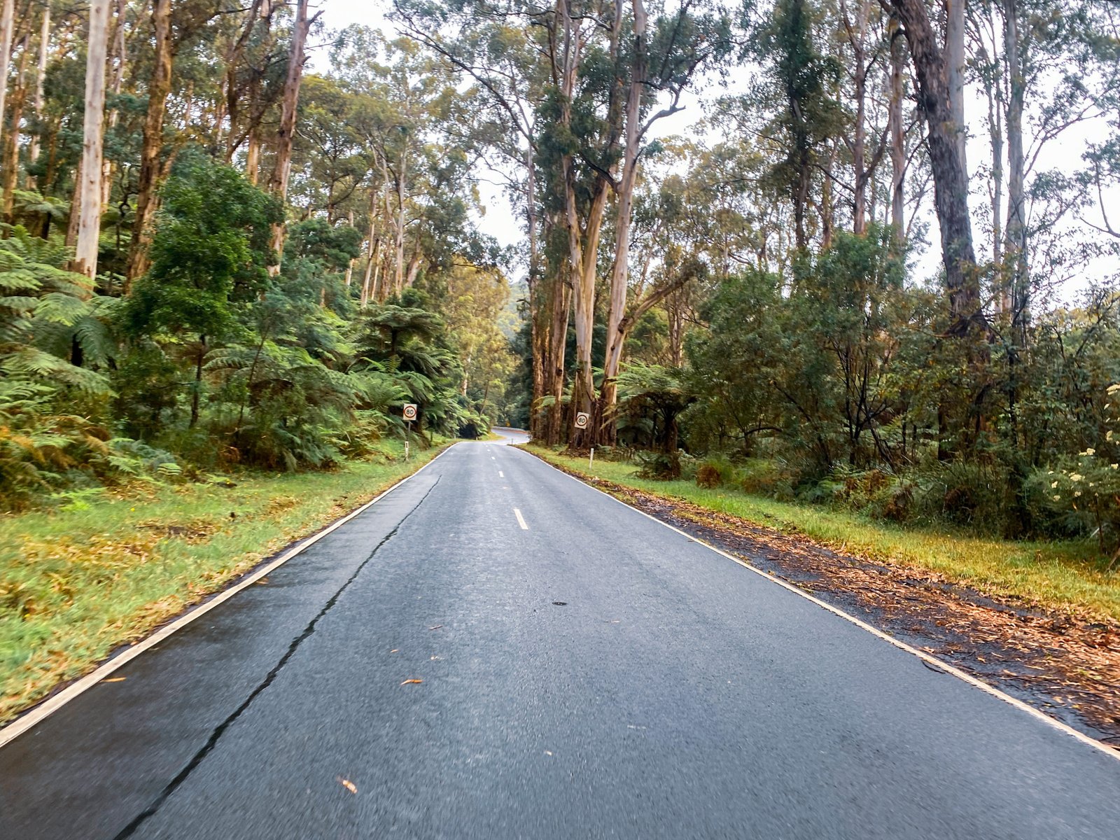 Coldstream / Gembrook / Toolangi Loop BikeRoutes
