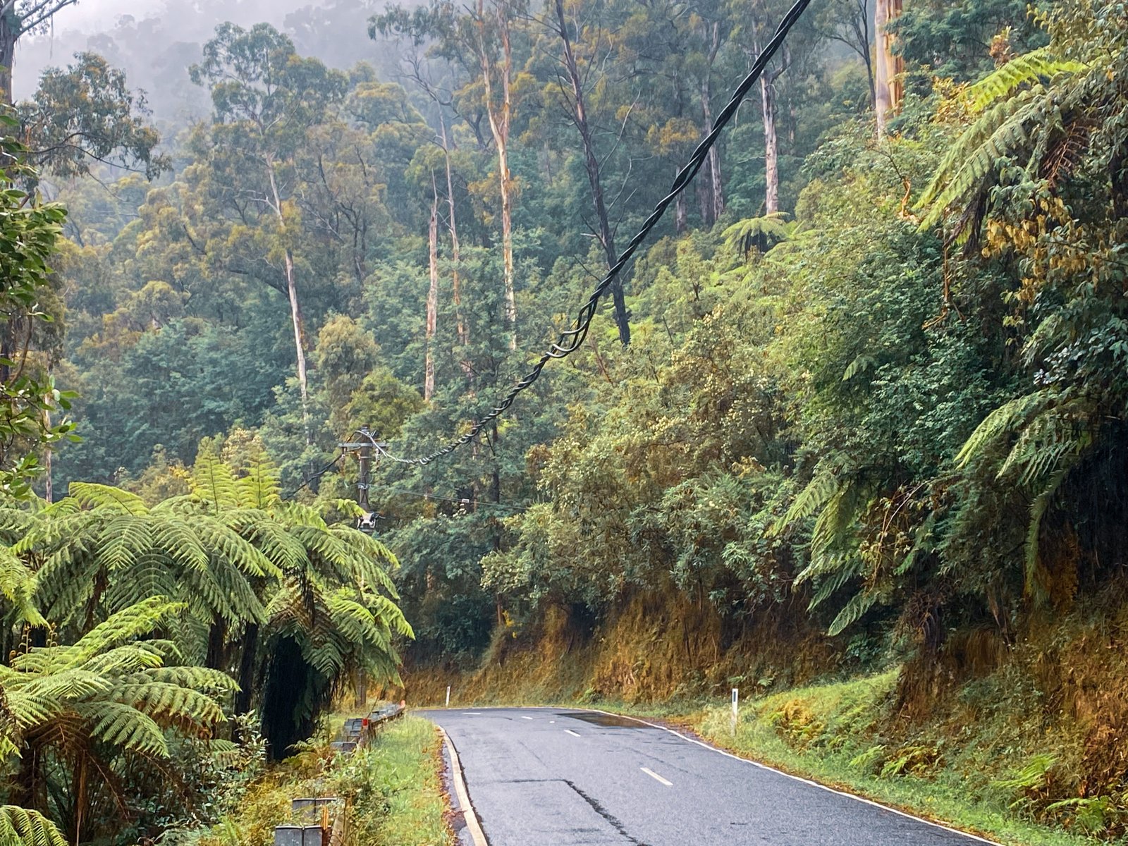 Coldstream / Gembrook / Toolangi Loop BikeRoutes