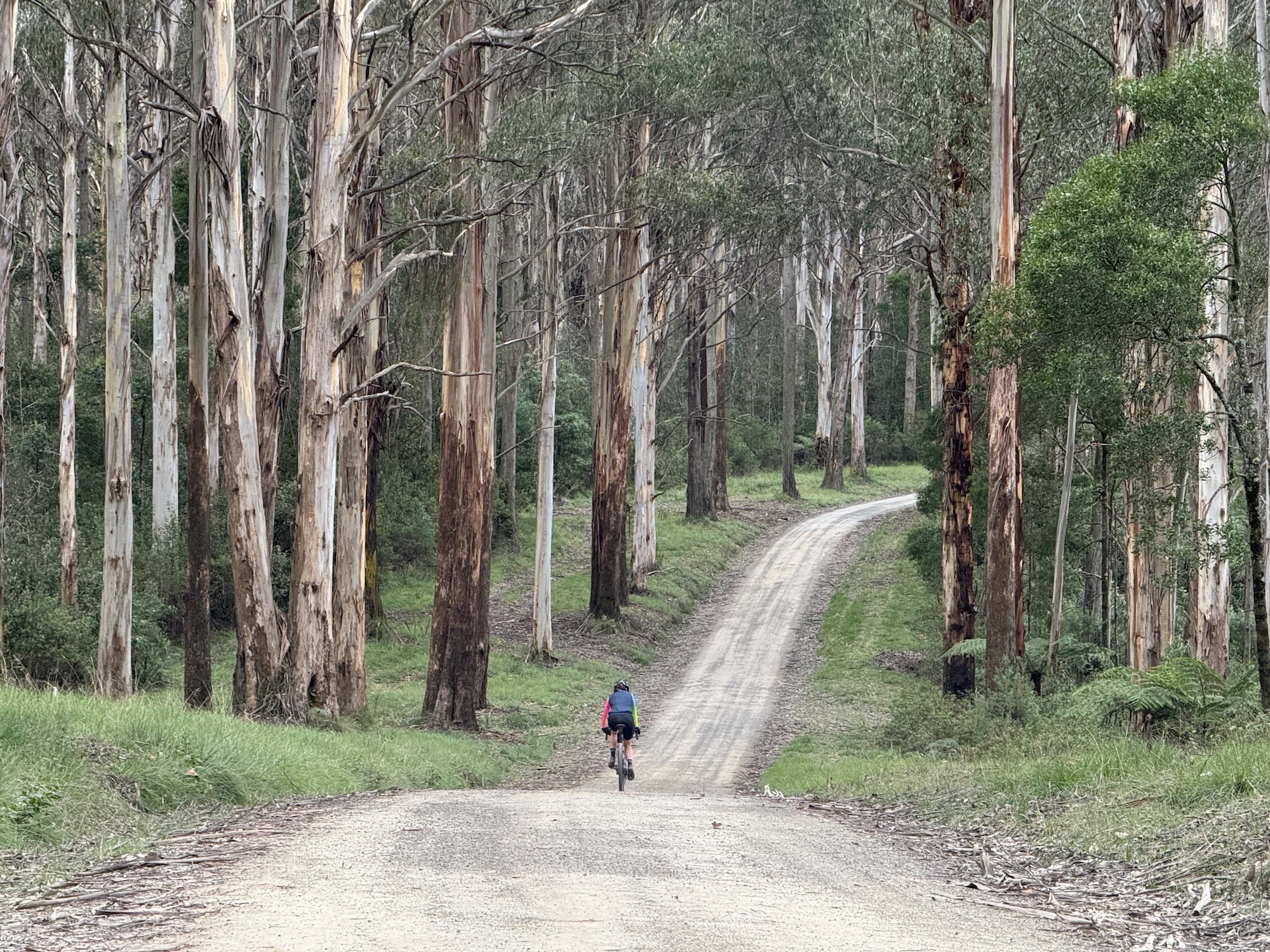 Warburton Sth Loop